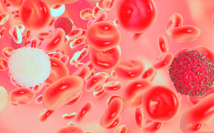 Лечение рака крови народными средствами